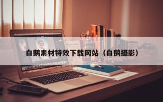 公主岭白鹅素材特效下载网站（白鹅摄影）
